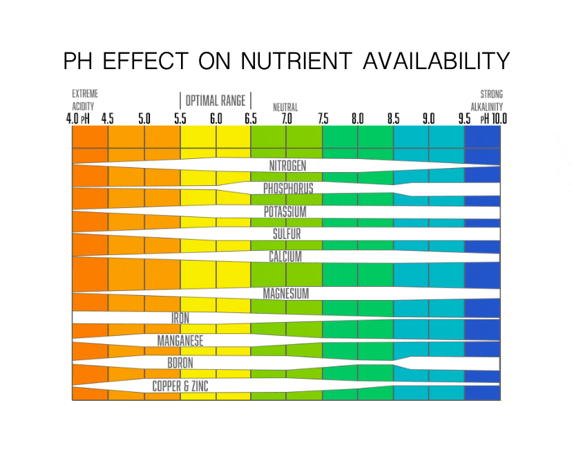 PH LEVEL OF NUTRIENT SOLUTION EFFECTS MINERAL ABSORPTION
