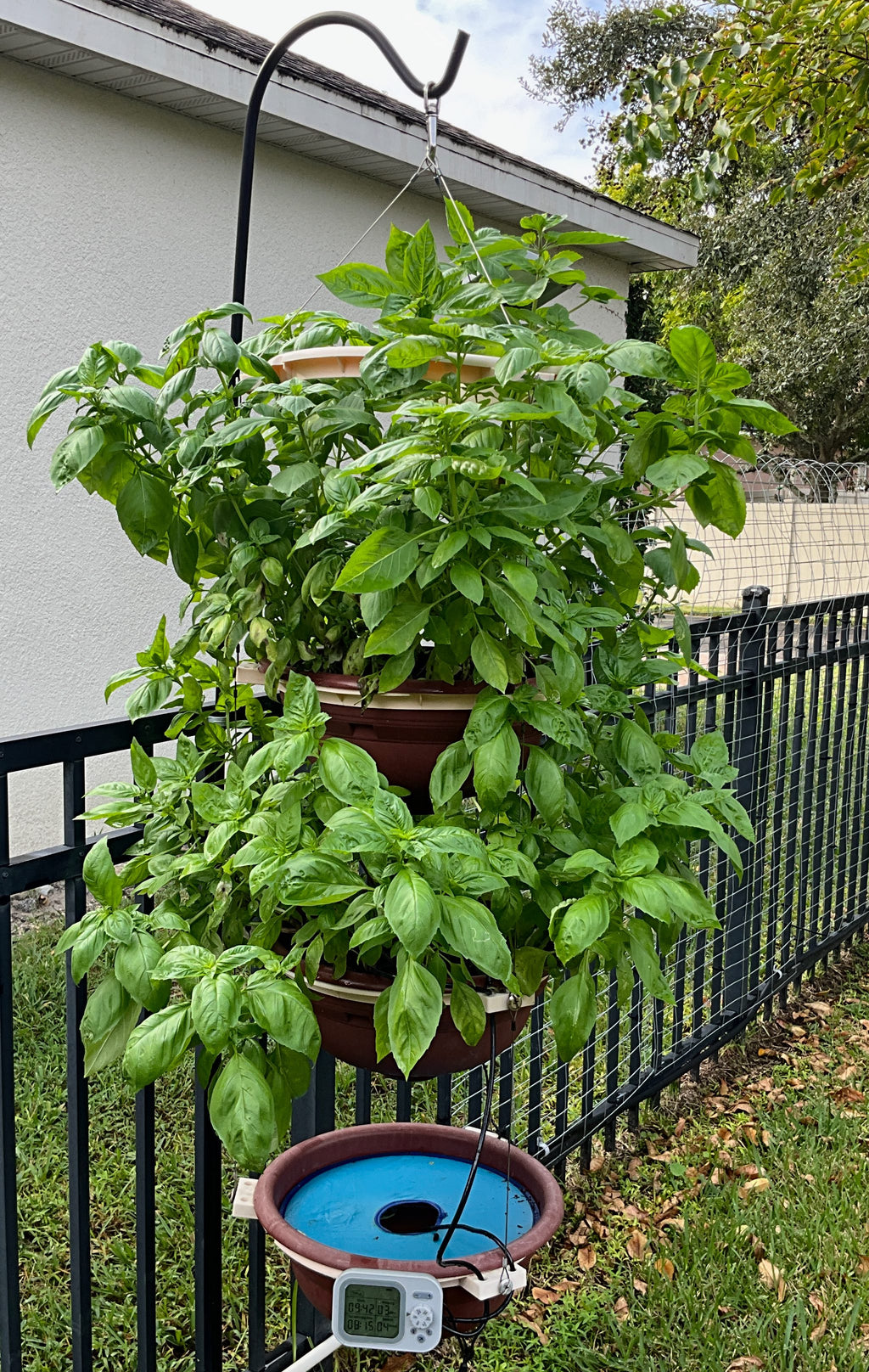 SOLO HYDROPONIC GARDEN KIT