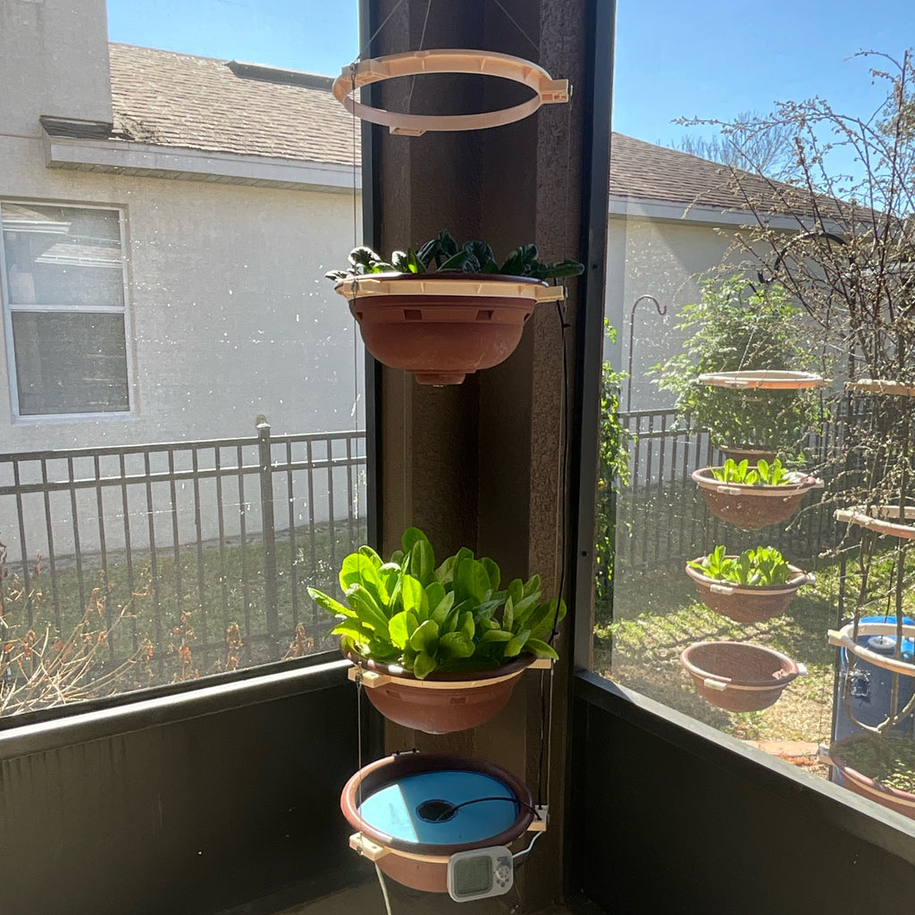 SOLO HYDROPONIC GARDEN KIT